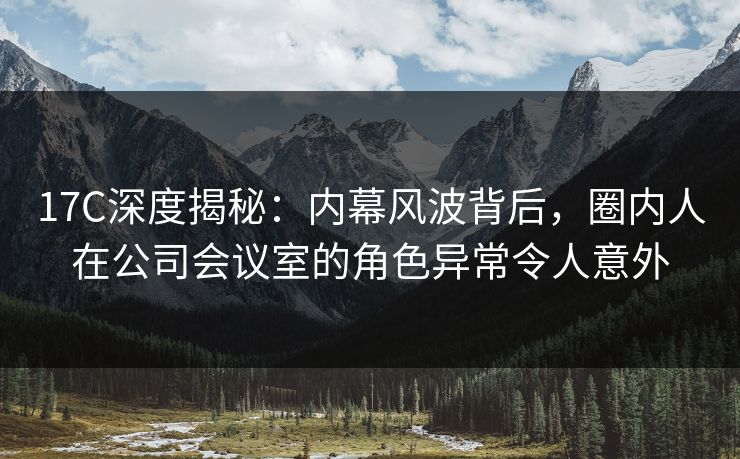 17C深度揭秘：内幕风波背后，圈内人在公司会议室的角色异常令人意外